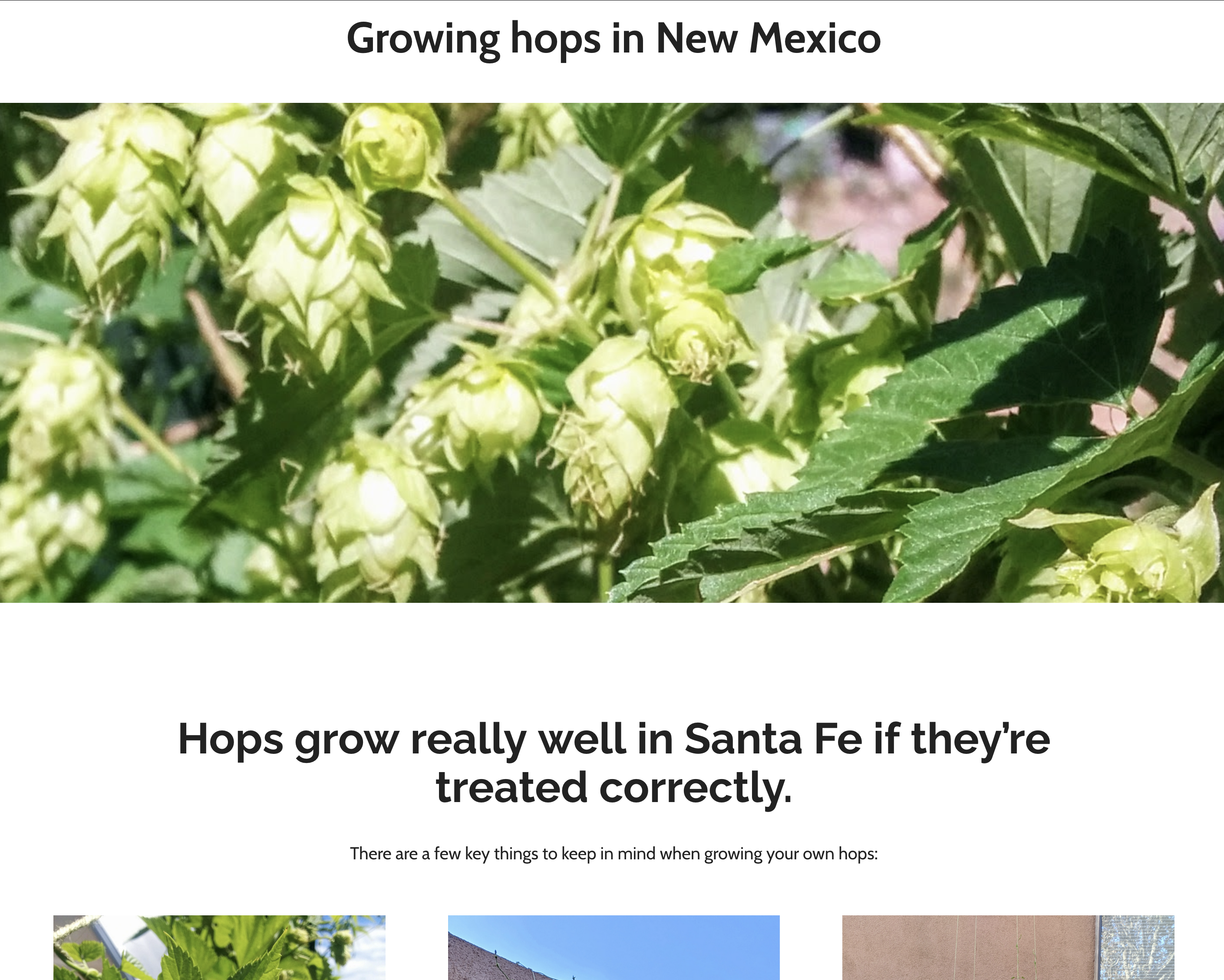 BrewSantaFe blog post about growing hops